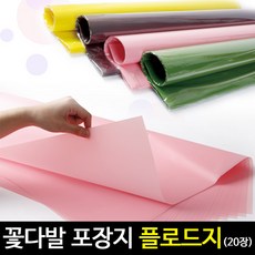 플로드꽃차