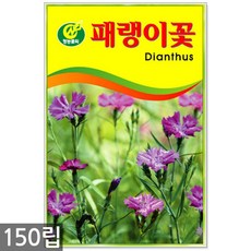 강남식용꽃파는곳