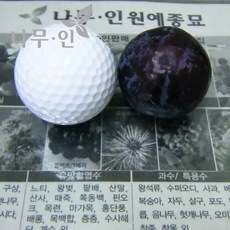 827ac877-7c63-4b77-8a48-5235cdc3d08a.JPG