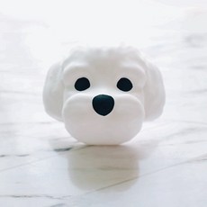 말티즈몰드