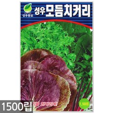 //상품명