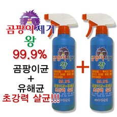 곰팡이균제거젯소