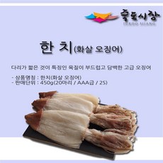 한치20마리