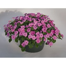 a3d4e1fa-e0b2-4007-8cd5-617d5ae17e09.jpg