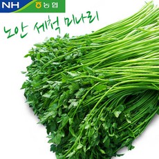 노안농협 [노안농협] 세척 미나리 1kg, 1박스
