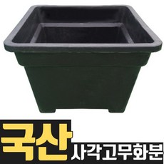 딸기다라이