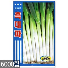 a4d516a1-280f-4956-9593-991f1e5e6abe.jpg