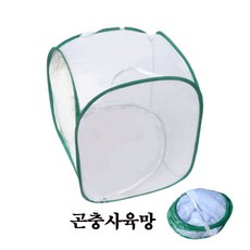 곤충사육망