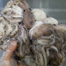[싱싱해몰] 쭈꾸미...