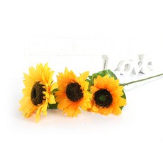 자이언트플라워해바라기