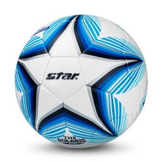 폴라리스비르고