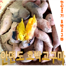 여주호박고구마