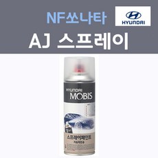 순정품 현대 NF쏘나타 AJ 스프레이(2개 세트) 붓펜 카페인트, 2개, 200ml