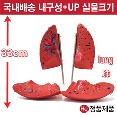 셀프손발모형