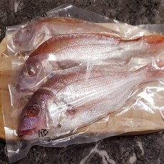 국산 참돔 3미(25cm내외), 단품