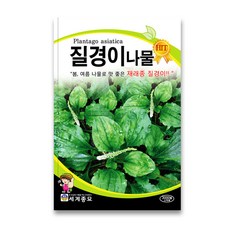 //상품명