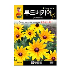 분꽃