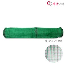 노루망