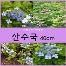 f40694b5-c54f-422b-8c51-ba9f1a55b37a.png
