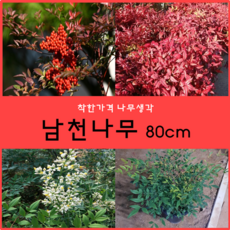 ba454ad9-e771-481b-a78a-8cbb73758085.png