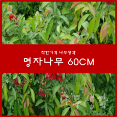 eda43d00-312d-4d91-87c3-3a1871bb595d.png