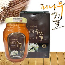 고성공룡엑스포예매