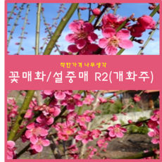 220b79f9-66db-4c95-8664-038885dd7416.png