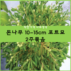 40c4668f-c8e6-466d-b68c-f31bb16198b9.png