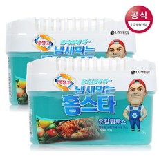 냄새먹는 홈스타 냉장고용 탈취제 유칼립투스 420g, 2개