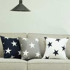 빅스타방석커버