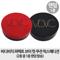 비디비치사틴피니시