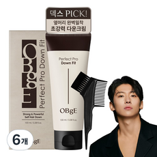 OBge 오브제 퍼펙트 프로 다운핏 세트 남자 옆머리 누르기 셀프 다운펌, 100ml, 6개