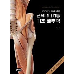 [플레이북]근육뼈대계통 기초 해부학 : 쉽게 이해하는 해부학 첫걸음, 어중선, 플레이북