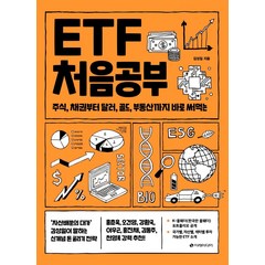 [이레미디어]ETF 처음공부 : 주식 채권부터 통화 대체투자까지 바로 써먹는 - 처음공부 시리즈 4, 김성일, 이레미디어