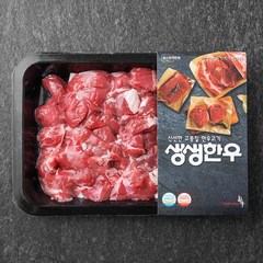 생생한우 1등급 세절 국거리용 (냉장), 300g, 1개