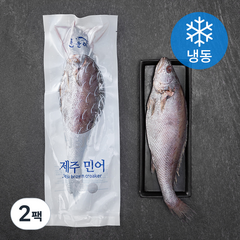 한올레 제주 통민어 대 (냉동), 600g, 2팩