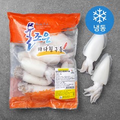 현이푸드빌 물조은 바다 친구들 손질 갑오징어 중 (냉동), 1kg, 1개