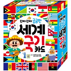 진짜진짜 궁금한 세계 국기 카드:어린이 첫 카드, 아이키움북
