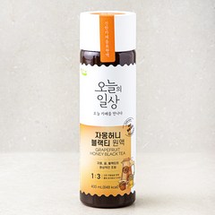 오늘의일상 자몽허니블랙티 원액 400ml, 1개