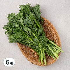 곰곰 국내산 쑥갓, 150g, 6개