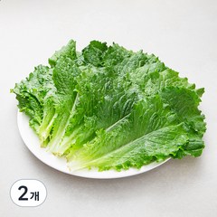 친환경 인증 국내산 청상추, 150g, 2봉