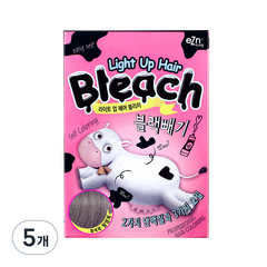 이지엔 라이트 업 헤어 블리치 블랙빼기 탈색제, 10g, 5개