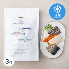 오름 어린이 순살 바다이야기 모듬 (냉동), 400g, 3개