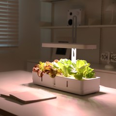 무아스 마이팜 홈가드닝 LED 식물 수경재배기, 1개