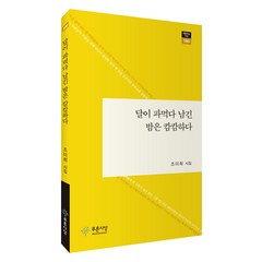 달이 파먹다 남긴 밤은 캄캄하다, 조미희, 푸른사상