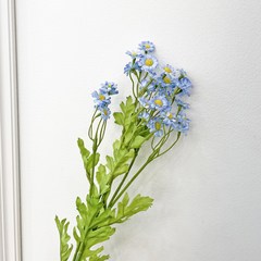 베누디 마트리카리아 데이지 꽃 가지 조화, 블루