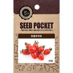 월드가드닝 정원 텃밭 좋은 씨앗 방울토마토, 1개