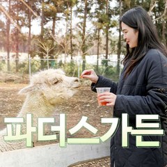 [제주] 파더스가든+동물농장 체험