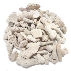 뼈산호 [20~50mm] 1kg 2kg /뼈다귀/산호사/산호석, 뼈산호 1kg