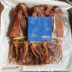 마른오징어 말린 완전건조 굽지않은 쫄쫄이오징어 500g/1kg/2kg, 1.1kg, 1개